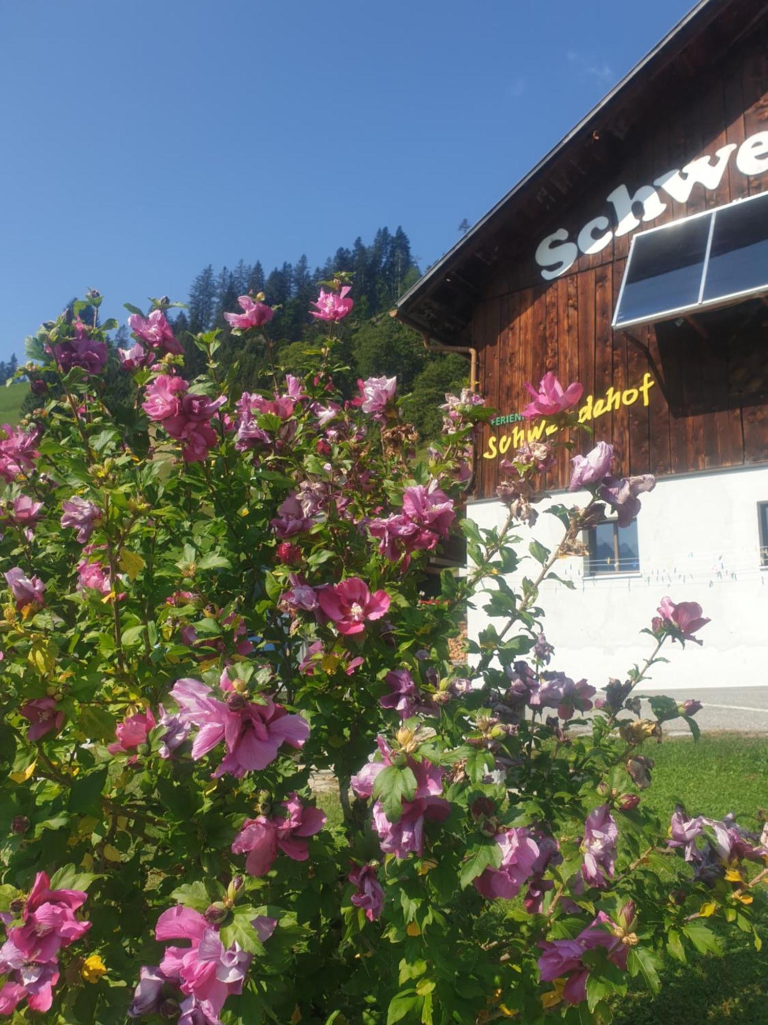 Ferienhaus Schwendehof Fontanella Buitenkant foto